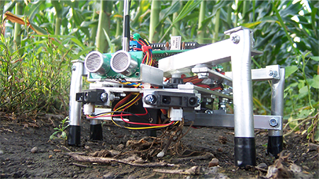 robots agricoles